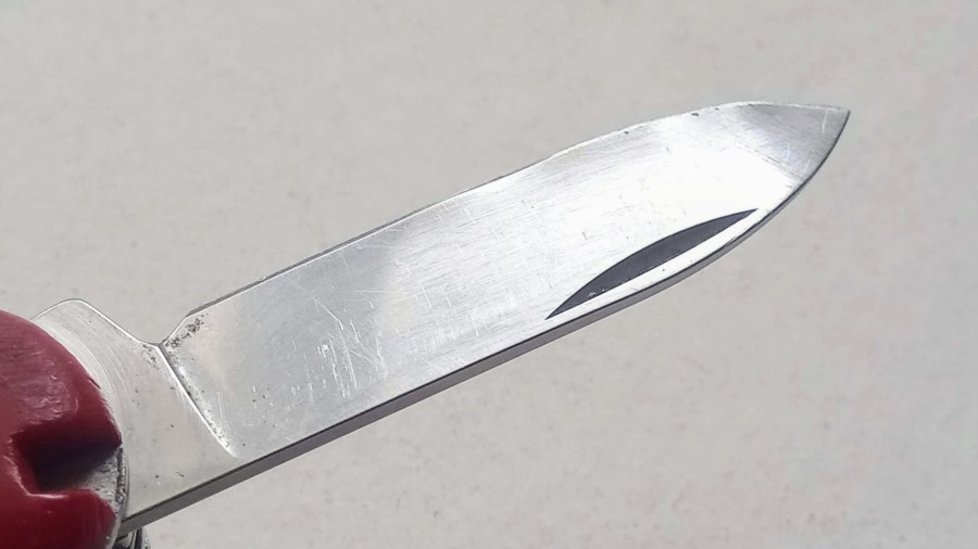 bumps visible along the edge of the small blade